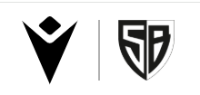 Logo STADE BAGNÉRAIS RUGBY | Macron Sports Hub